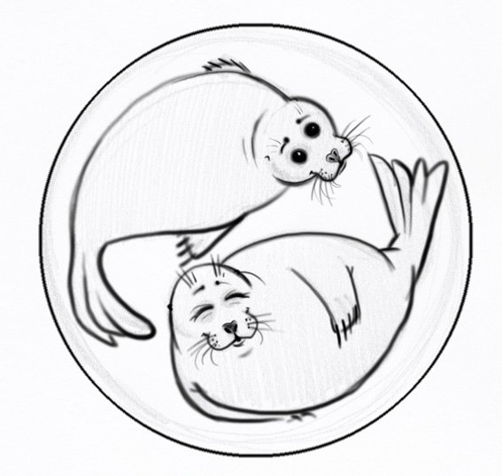 Нерпа раскраска