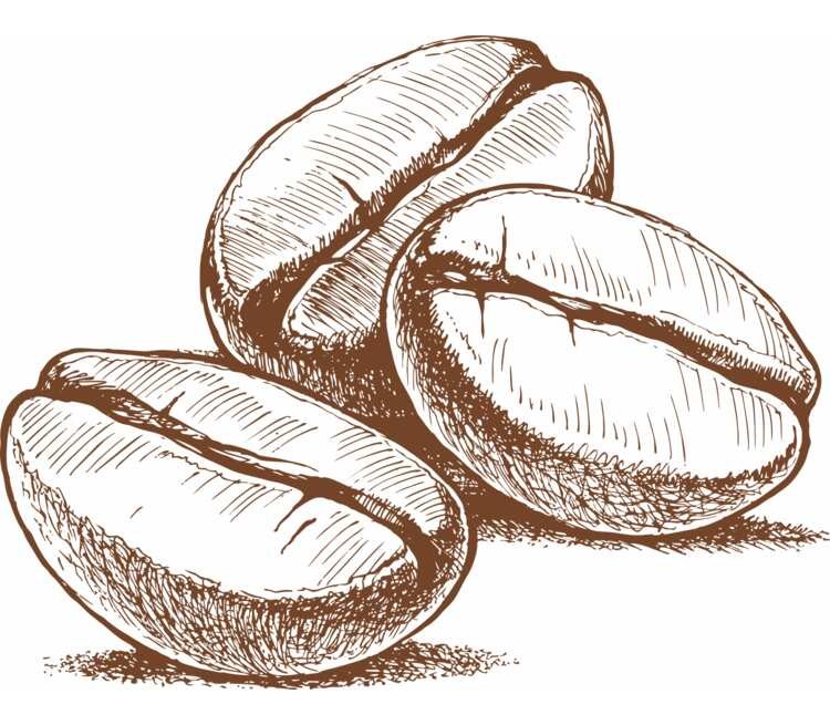 Кофейные зерна