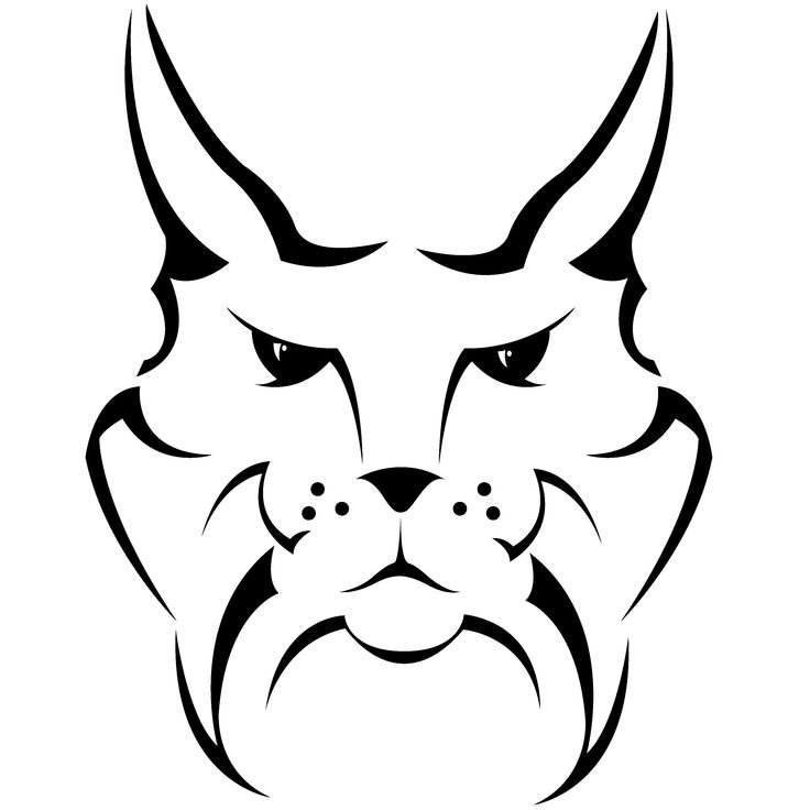 Рысь раскраска