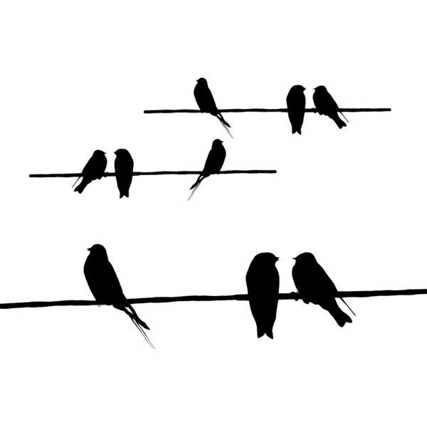 Птички на проводе