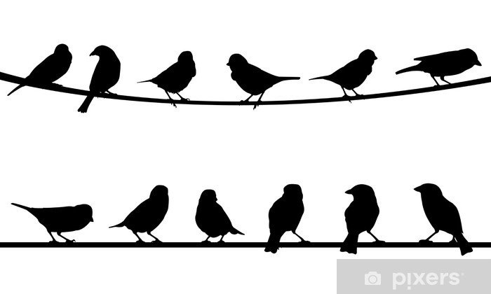 Птицы на проводах силуэт