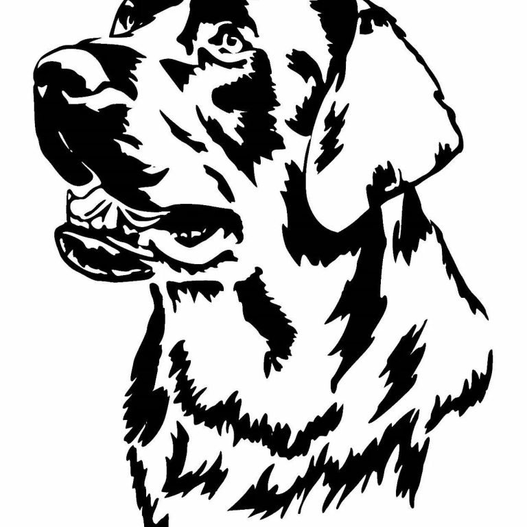 Трафареты для выжигания по дереву