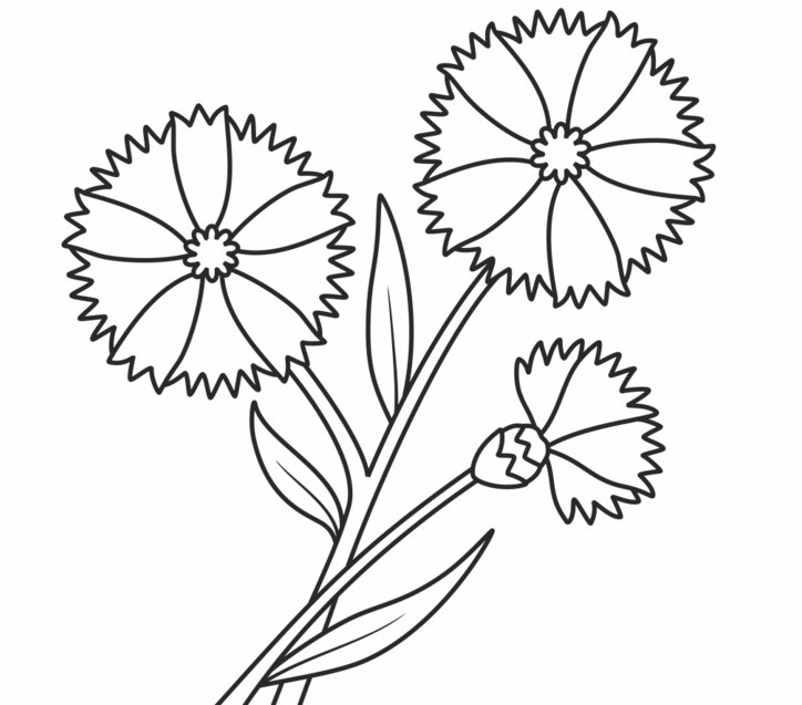 Василек раскраска