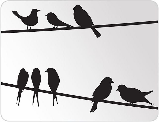 Силуэт птицы