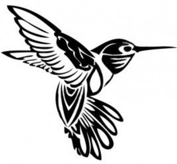 Колибри рисунок