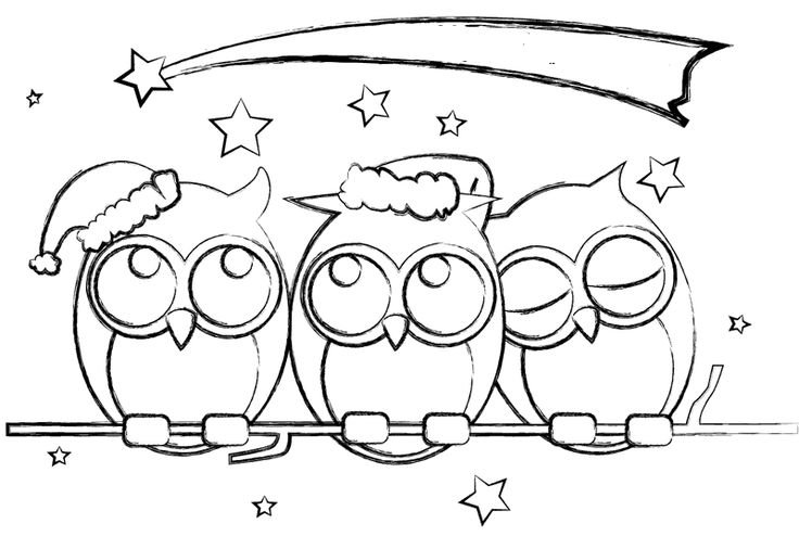 Сова раскраска для детей