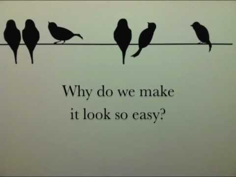 Силуэты птиц сидящих на проводах