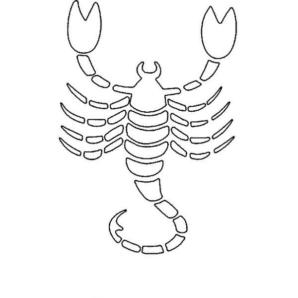 Скорпион раскраска