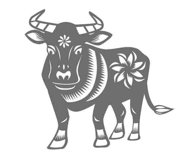 Вытынанка бык