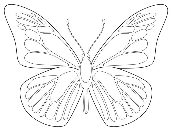 Бабочка шаблон для вырезания
