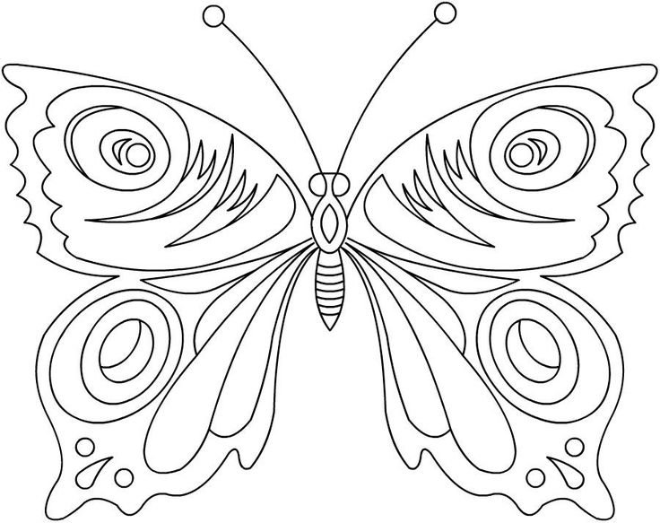 Бабочка рисунок раскраска