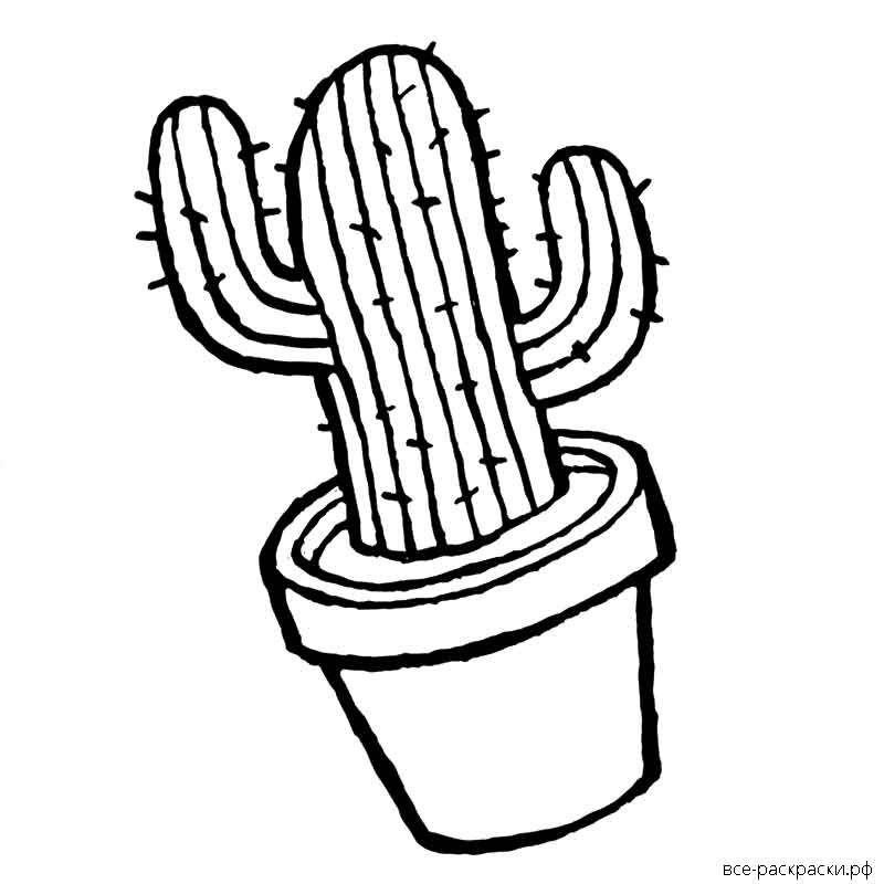 Маленькие раскраски кактусы
