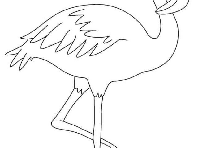 Шаблон Фламинго