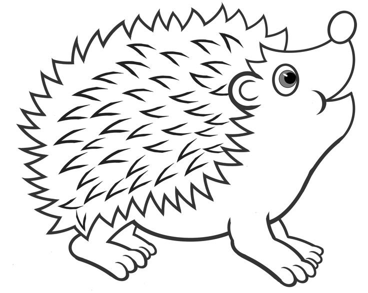 Ежик рисунок