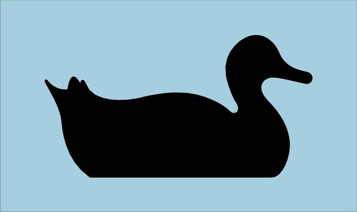 Контур утки