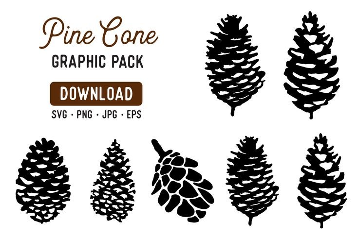 Шишки Графика