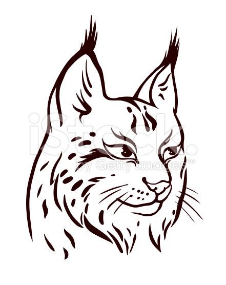 Трафарет Рысь