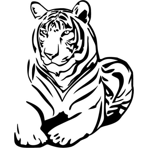 Тигр рисунок