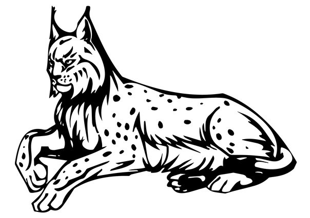 Рысь стилизация