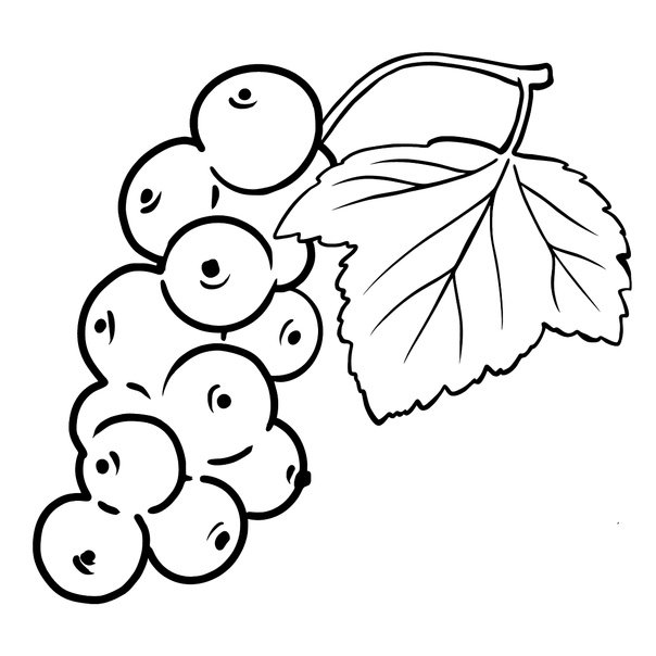 Ягоды раскраска для детей