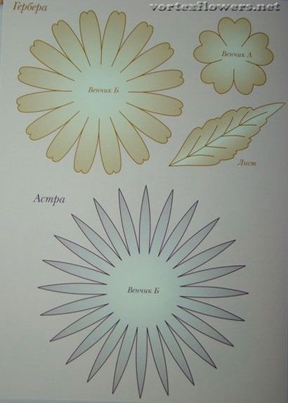Астра из фоамирана шаблоны