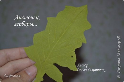 Выкройка листа герберы