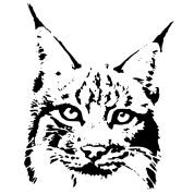 Рысь контур