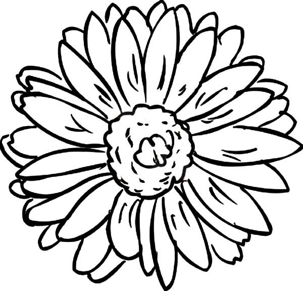 Цветочек раскраска для детей