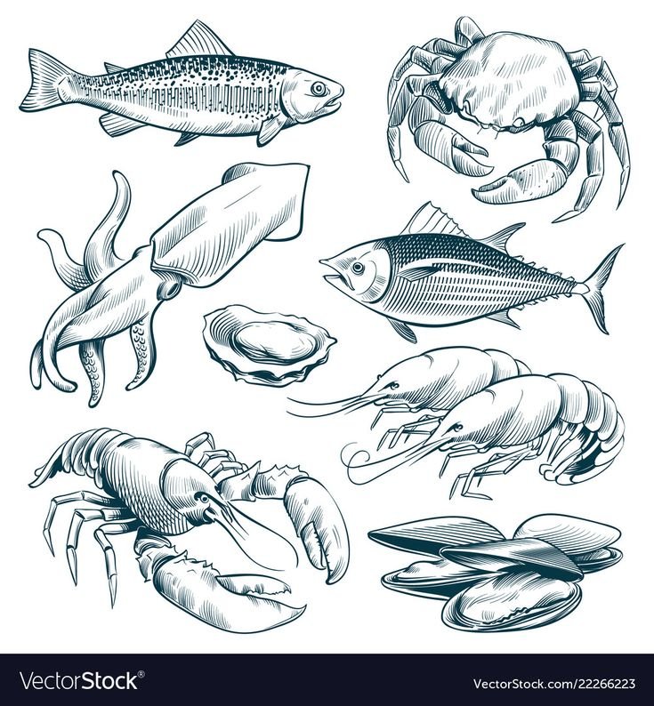 Скетч морепродукты
