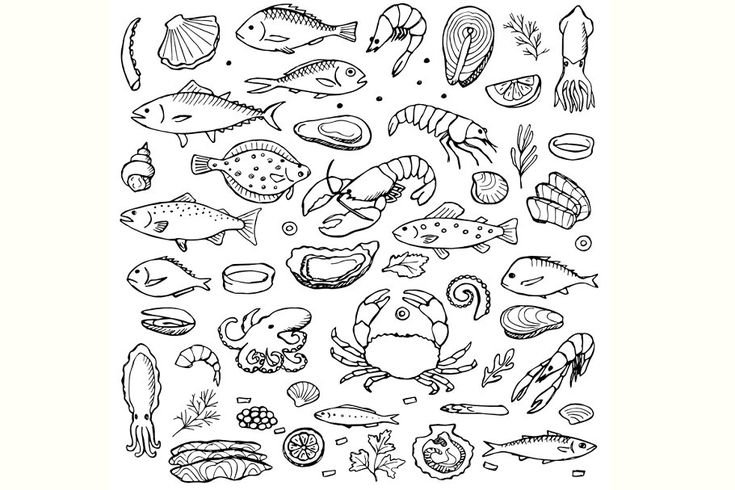 Паттерн морепродукты