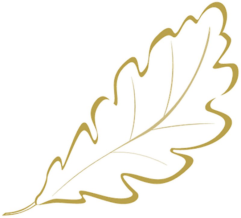 Листья шаблон