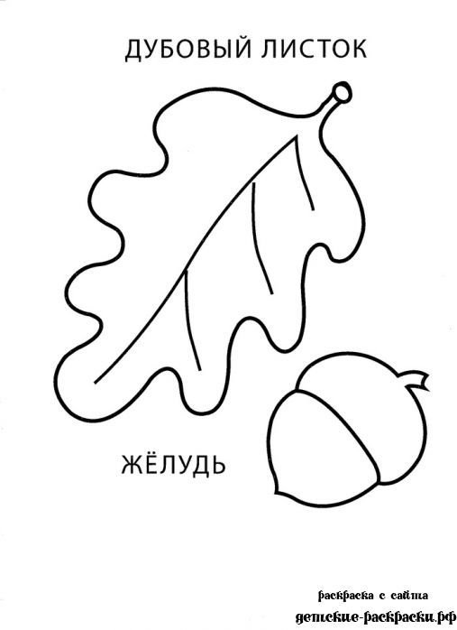 Дубовый лист раскраска