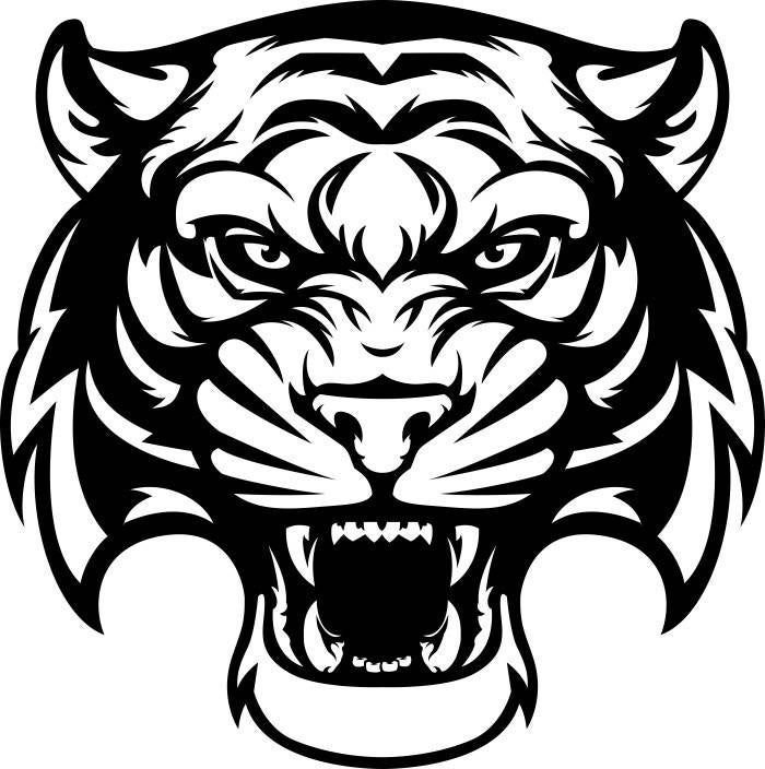 Тигр рисунок