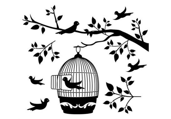 Узоры с птичками