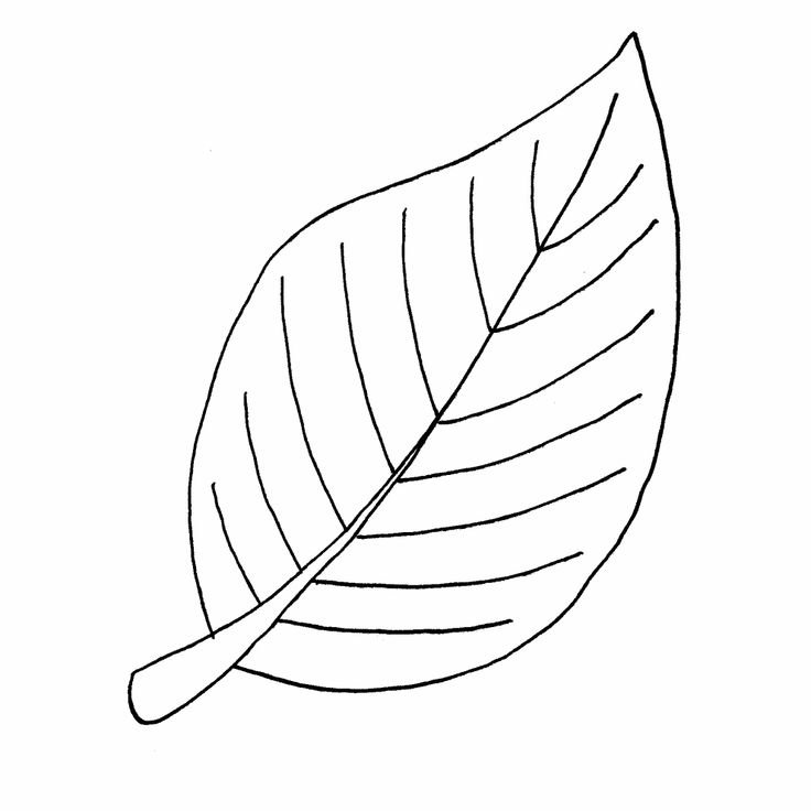 Листочки раскраска
