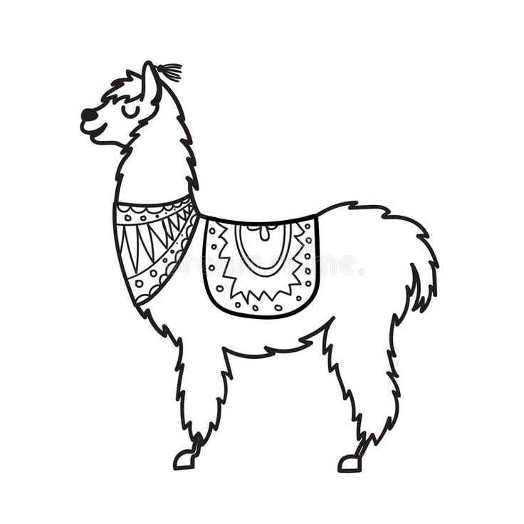 Раскраска лама