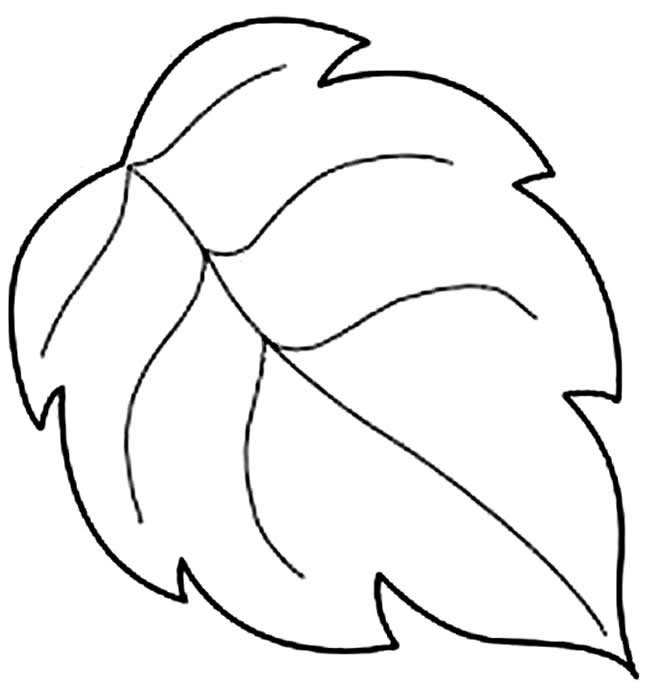 Трафареты листиков для цветов