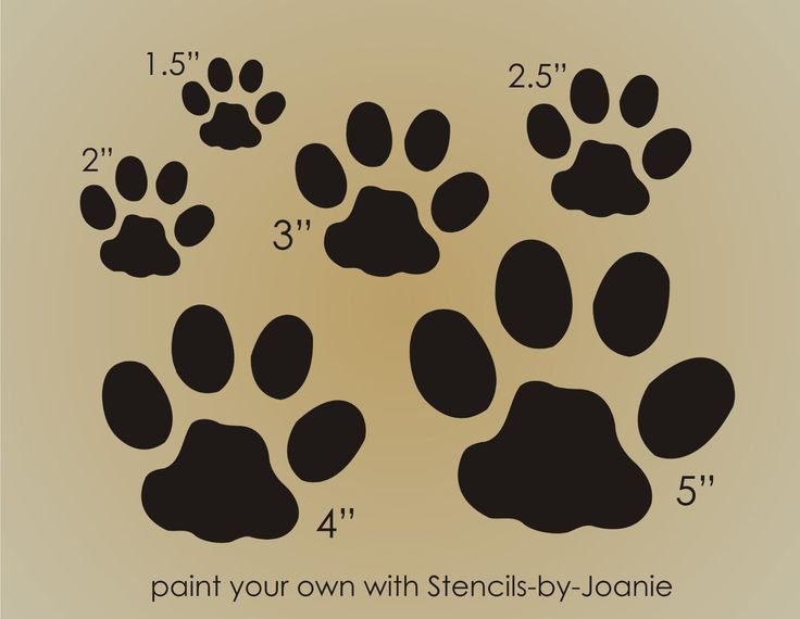 Кошачьи лапки трафарет