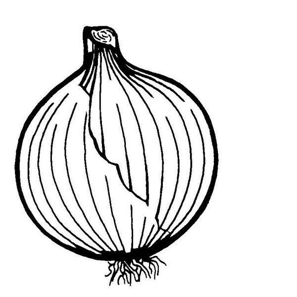 Трафарет луковицы для детей