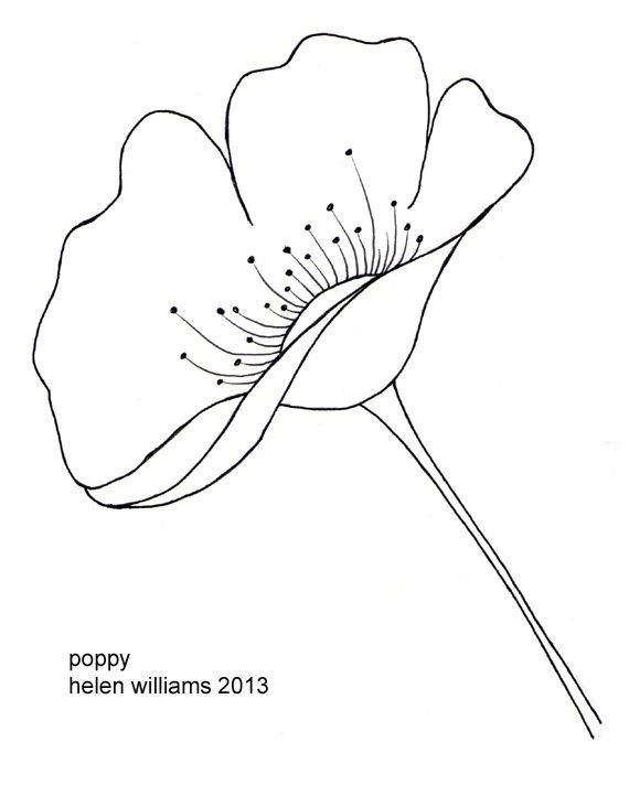 Цветы рисунок