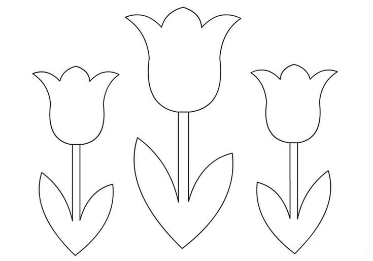Трафареты тюльпаны