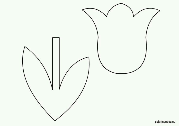 Тюльпан шаблон для вырезания