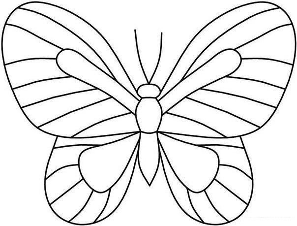 Шаблон бабочки