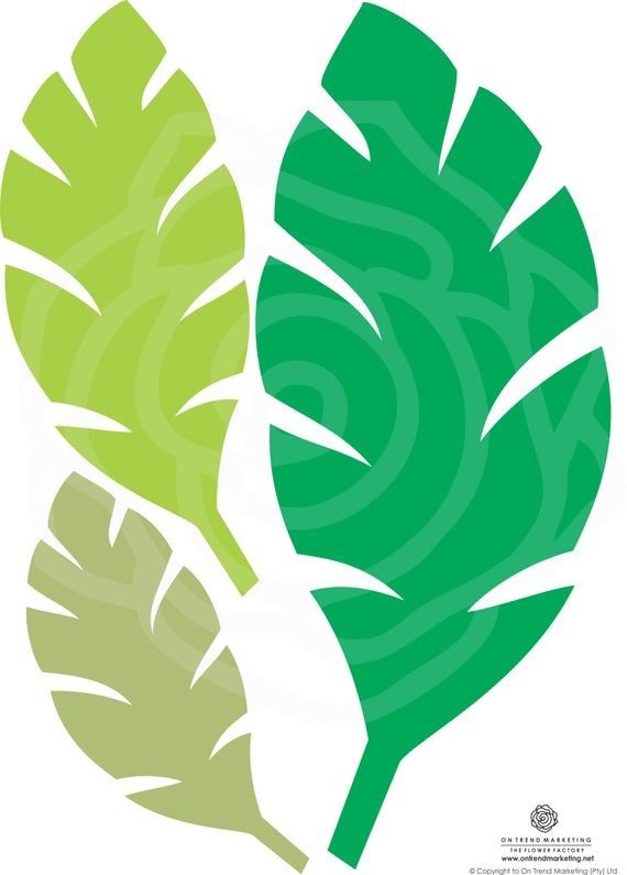 Трафарет листьев тропических растений