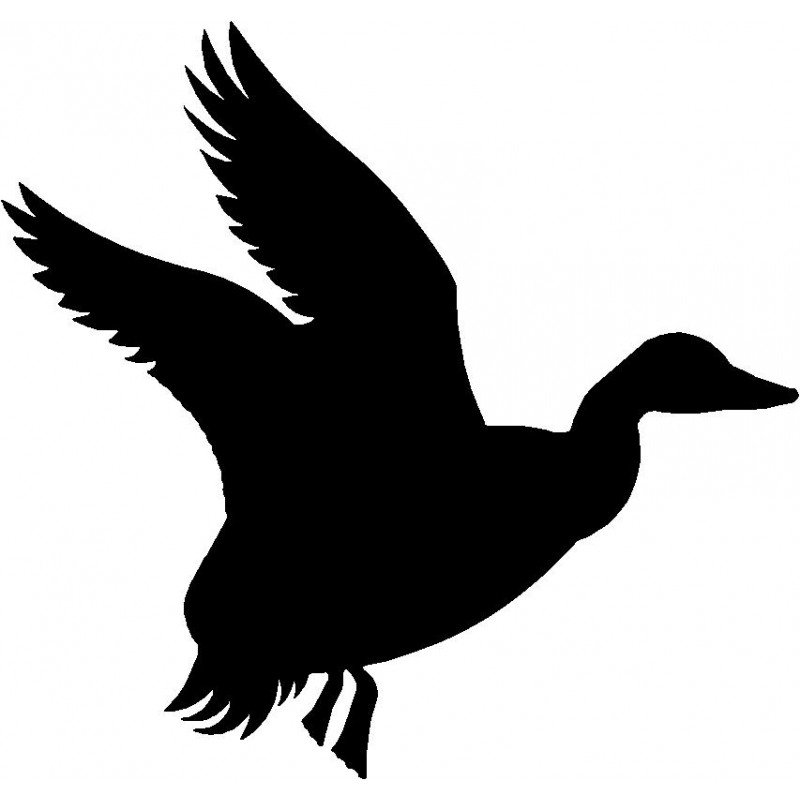 Силуэт утки в полете