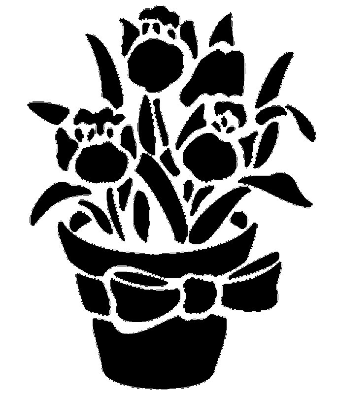 цветы в горшках на окно