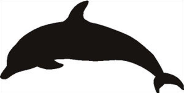 Дельфины трафарет