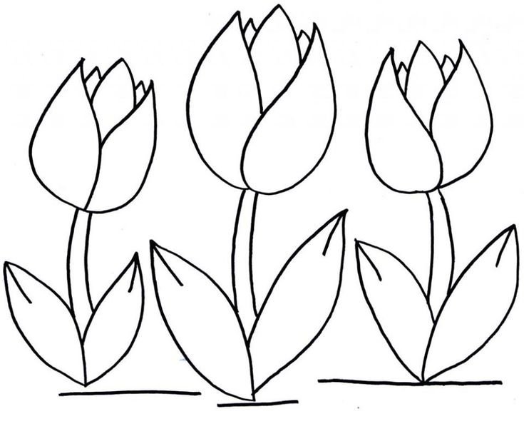 Тюльпаны для вырезания