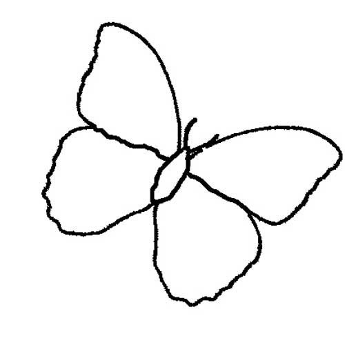 Раскраска бабочка средняя группа