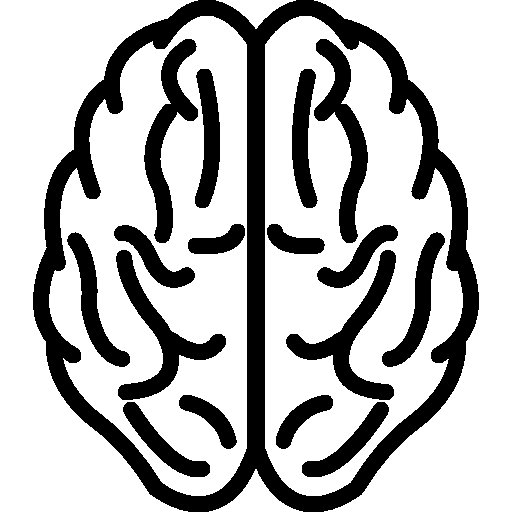 Мозг вид сверху